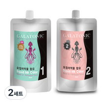 갈라토닉 스퀴드 잉크칼라 새치염색 1제 500ml + 2제 500ml, 6N 밝은 갈색, 2세트