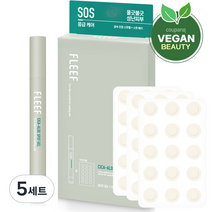 플리프 시카 알로에 스팟패치 51p + 진정 스팟 젤 여드름 연고 4.5g, 5세트