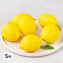 다조은 칠레산 레몬, 5팩, 700g(6입)