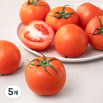 스마트팜 완숙토마토, 1kg, 5개