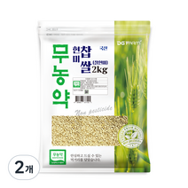 대구농산 무농약 찰현미, 2kg, 2개