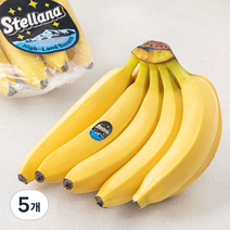 스텔라나 베트남산 고산지 바나나, 1.15kg, 5개