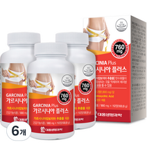 대웅생명과학 가르시니아 플러스, 6개, 100.8g
