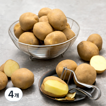 곰곰 감자, 2kg, 4개