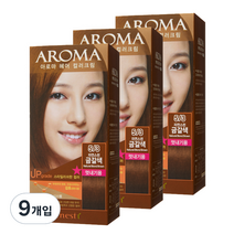 에네스티 아로마 염모제 멋내기용, 5/3 자연스런 금갈색, 9개입