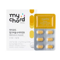 마이코드 밀크씨슬 앤 비타민B, 30정, 1개