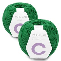 브랜드얀 얀랩C 뜨개실 2p, 12 포레스트, 125m, 2개