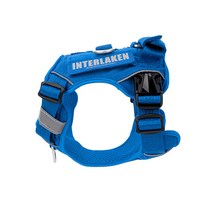 인터라켄 중형견 대형견 커스텀 강아지 하네스, 블루