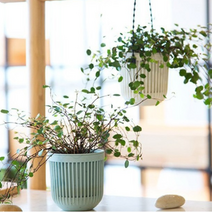 예따여기 플라스틱 행잉 플랜트 화분걸이, 화이트