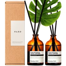 부케가르니 나드 보타니컬 아로마 디퓨저 100ml x 2p + 몬스테라, 티트리로즈마리, 1개