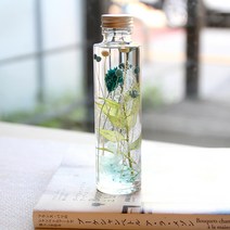 더봄 하바리움 프리저브드플라워 무드등, 블루포플란츠 화이트뮬리