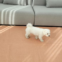 리앤데코 셔닐 도로시 사계절 러그 카페트