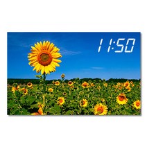 홈마인 캔버스 프린팅 액자 시리즈 LED 시계 해바라기 풍경 800 x 500 mm, 2
