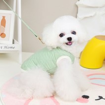 파스텔펫 강아지 컬러 누빔 베이직 조끼, 그린