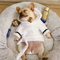 도그월드 반려동물 샤워 가운, 화이트