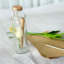 러블리팜 타임캡슐 유리병 튤립 플라워 손편지 LED조명 + 선물박스 세트, 크림(플라워), 화이트(선물박스)