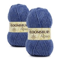 쎄비 블룸즈버리 알파카 겨울 뜨개실 100g 2p, 23162 메란지하늘