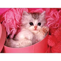 비엔퍼즐 내마음의 천사 직소퍼즐 150-16, 혼합색상, 150피스