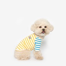 투스투스 강아지 컬러블럭 스트라이프 티셔츠, 옐로우