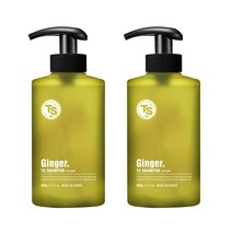 TS 진저 샴푸, 500g, 2개