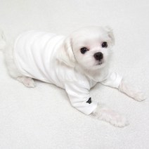 도기코디 무지 긴팔티, 흰색