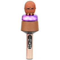 로이체 RGB LED 무선 블루투스 마이크 스피커, BTS-60KM(Rose gold)