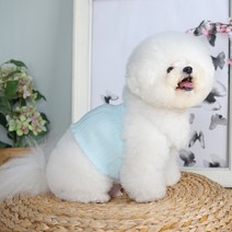 에이미러브즈펫 강아지 플리츠크롭, 비즈민트