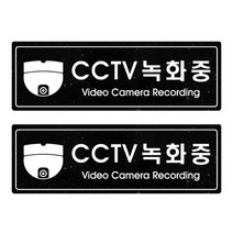 쁘띠팬시 펄 아크릴 표지판 흑색 펄 F5028, 2개, CCTV녹화중