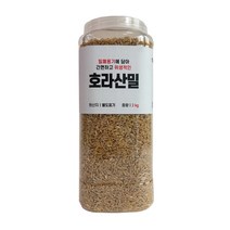 대한농산 통에담은 호라산밀, 1개, 2kg