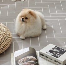 휴팡 PVC 6T 양면 애견매트 사각형, 헤링본 그레이