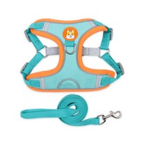 홈리미엄 웰시코기 닥스훈트 전용 하네스 M + 리드줄 세트, 블루, 1세트