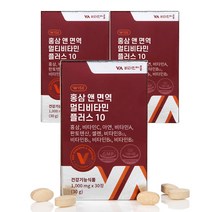 비타민마을 홍삼 앤 면역 멀티비타민 플러스 10 30g, 3개
