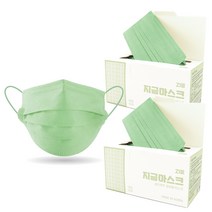 지금마스크 3중 셀프케어 일회용 마스크 대형, 50개입, 2개, 애플 민트