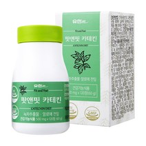 유한메디카 핏앤핏 카테킨 60g, 1개, 120정