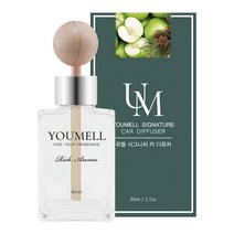 유멜 시그니처 카 디퓨저 80ml, 1개, 애플파인