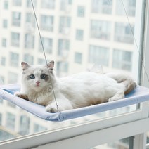 예홈펫 고양이 창문 해먹 방석, 블루
