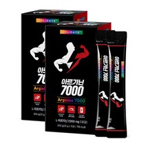 홀리데이즈 아르기닌 7000 15포, 300g, 2개
