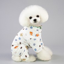 딩동펫 반려동물 캐주얼 올인원, 공놀이