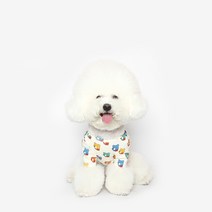투스투스 강아지 곰돌이 티셔츠, 멀티