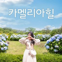 카멜리아힐 입장권