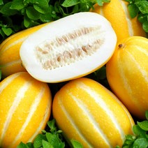 [식품의즐거움] 꿀당도 성주 참외 정품 3.5kg 골라담기, 참외 정품 중과 3.5kg