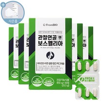프롬바이오 관절연골엔 보스웰리아 + 씨오케이마스크 증정, 5box, 850mg
