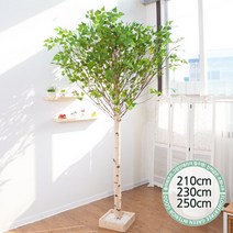 실내인테리어 인조나무 123종 / 플트 조화나무 C, C05.기본Y자형 자작나무 210cmK/사방형