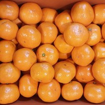 [빛과나무] 탑푸르트 공샘이 제주감귤 5kg(47-60입내/M), 상세 설명 참조