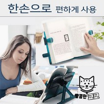 뷰프레임 멀티 독서대, 투명그린