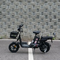 전동 전기스쿠터 타이탄500 48V, 13ah+페달