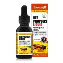 네추럴라이즈 비프로폴리스 리퀴드 앰플 원액 액상 스포이드 프로플리스 포리스 캐나다 플라보노이드 30ml