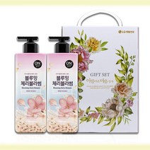 선물세트 온더바디 체리블라썸 바디워시 500ml 2개, 영포트 쿠팡 1, 영포트 쿠팡 본상품선택