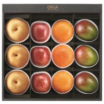 (롯데백화점)애플망고/레드향 혼합세트