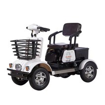 관광 전기차 홈 배터리자동차 노인스쿠터 전동차 카트, 650W48V35a 리튬 배터리,60V